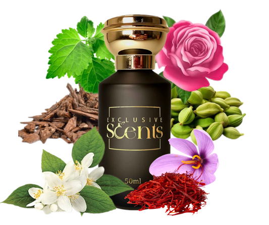 Stallion Oud